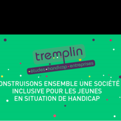 TREMPLIN Handicap 11e Rencontres Alternances 100% digitales