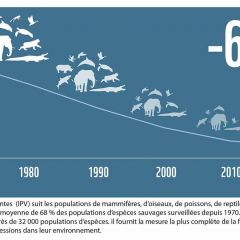 Publication du rapport 'Planète Vivante' de la WWF